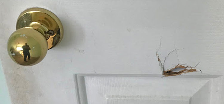 interior door hole repair Farmersville